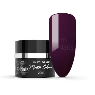 X-NAILS bezvýpotkový UV/LED gel Master Line, 5 ml - ROYAL RUBY